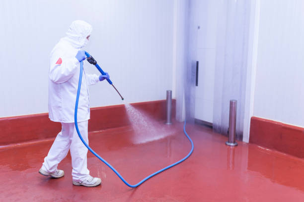 Reliable Iowa Colony, TX Pressure Washing Services Solutions