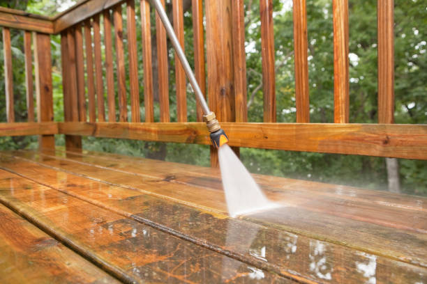 Best Restaurant Pressure Washing  in Iowa Colony, TX